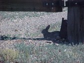 Enlarge photo 106
