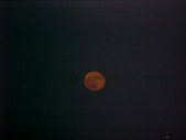 Enlarge photo 115