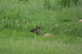 Enlarge photo 38