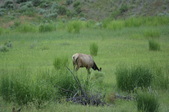 Enlarge photo 39