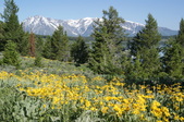 Enlarge photo 63