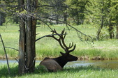 Enlarge photo 68
