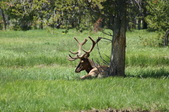Enlarge photo 69