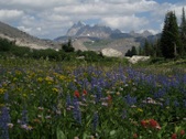 Enlarge photo 78