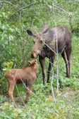 Enlarge photo 81