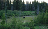 Enlarge photo 82