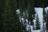 Enlarge photo 84