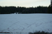 Enlarge photo 85