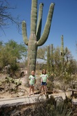 Enlarge photo 47