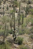 Enlarge photo 49