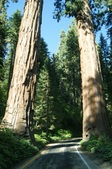 Enlarge photo 52