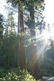 Enlarge photo 53