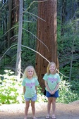 Enlarge photo 54