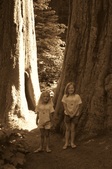 Enlarge photo 57