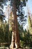 Enlarge photo 55