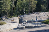 Enlarge photo 59