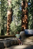 Enlarge photo 64