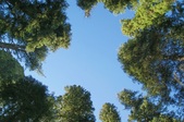 Enlarge photo 66