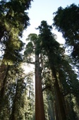 Enlarge photo 68