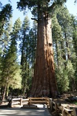 Enlarge photo 71