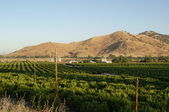 Enlarge photo 76