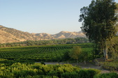 Enlarge photo 77