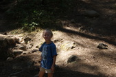 Enlarge photo 79