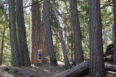 Enlarge photo 80