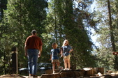 Enlarge photo 82