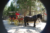 Enlarge photo 85