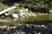 Enlarge photo 101