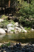 Enlarge photo 105
