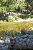 Enlarge photo 107