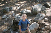 Enlarge photo 108