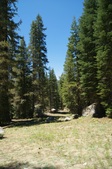Enlarge photo 110