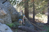 Enlarge photo 114