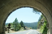 Enlarge photo 133
