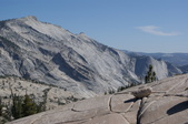 Enlarge photo 135