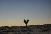 Enlarge photo 154