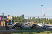 Enlarge photo 173