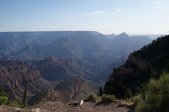 Enlarge photo 180