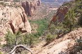 Enlarge photo 187