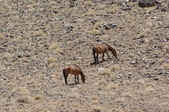 Enlarge photo 194
