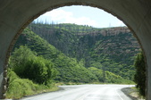 Enlarge photo 205