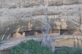 Enlarge photo 213