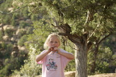 Enlarge photo 216