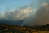 Enlarge photo 224
