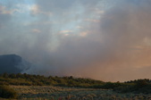 Enlarge photo 225