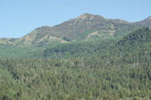 Enlarge photo 228