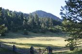 Enlarge photo 229